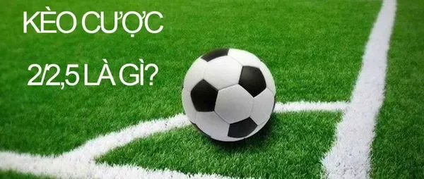 Tìm hiểu về Tài Xỉu 2-2.5 Debet là như nào?