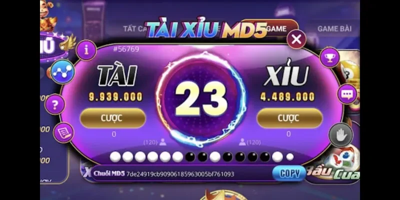 Một Số Các Câu Hỏi Thường Gặp Khác Khi Chơi Tài Xỉu MD5